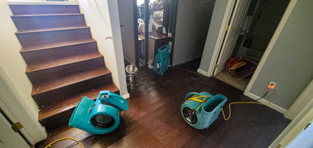 Best Fire Damage Restoration  in Kalkaska, MI