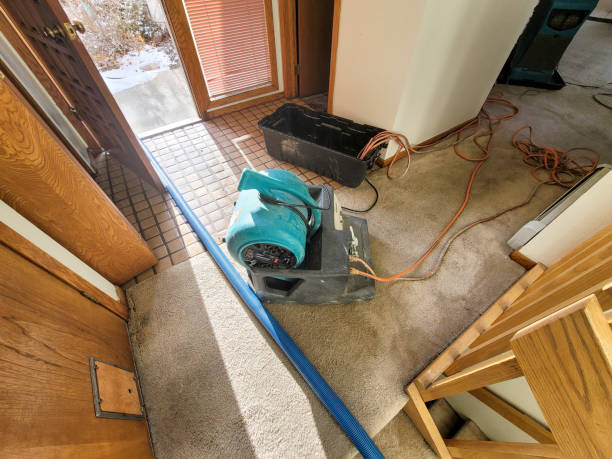 Best 24-hour water damage restoration  in Kalkaska, MI