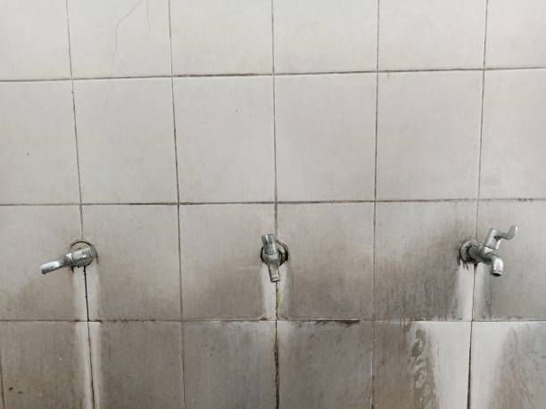 Best Water damage contractors near me  in Kalkaska, MI
