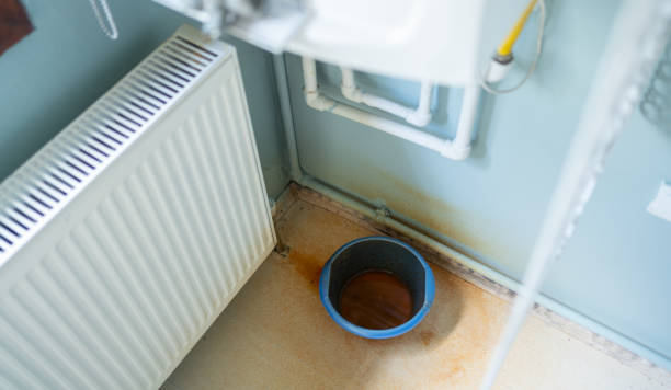 Best Water damage cleanup near me  in Kalkaska, MI