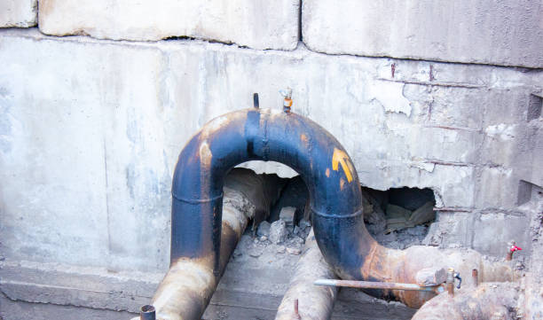 Best Flood restoration services  in Kalkaska, MI