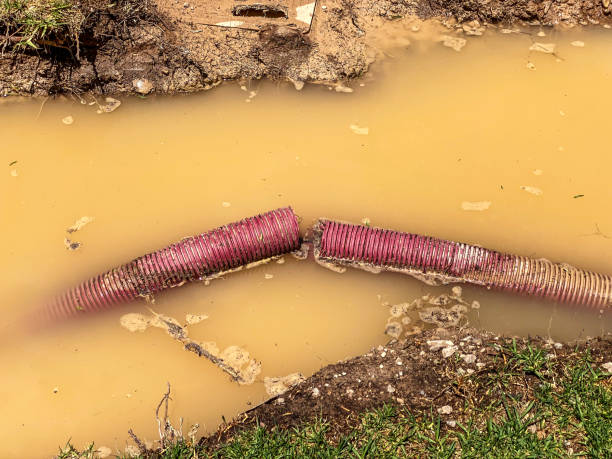 Best 24/7 water damage repair  in Kalkaska, MI