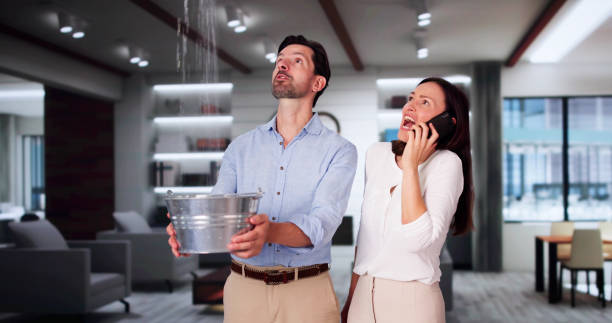 Best Residential water damage restoration  in Kalkaska, MI